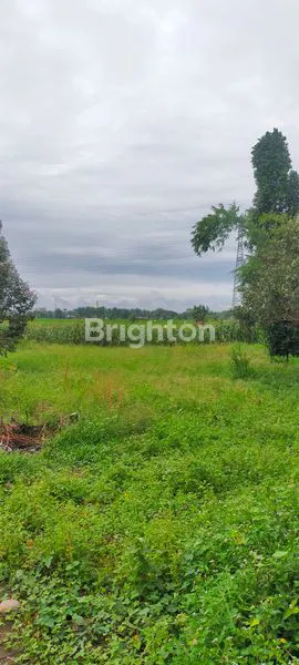 image DIJUAL TANAH  DAN SAWAH  (7)