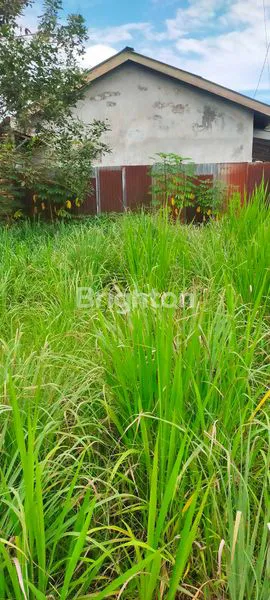 image DIJUAL TANAH  DAN SAWAH  (8)