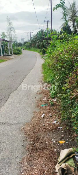 image DIJUAL TANAH  DAN SAWAH  (6)