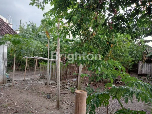 image RUMAH MINIMALIS TENGAH KOTA SOLO, SONDAKAN (4)