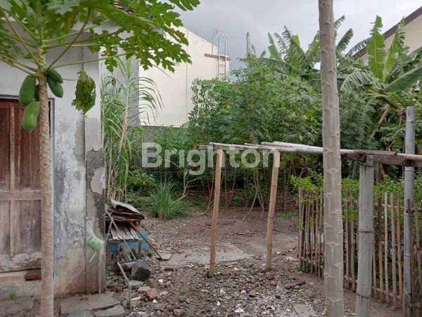 image RUMAH MINIMALIS TENGAH KOTA SOLO, SONDAKAN (6)