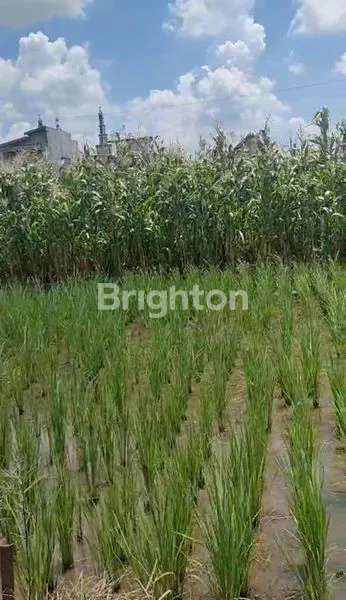 image TANAH SHM 80 M² SIAP BANGUN DI MENGANTI GRESIK (4)