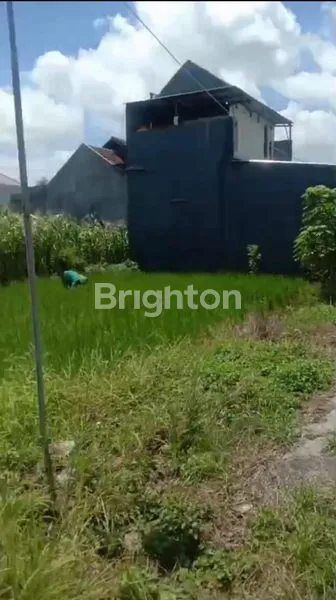 image TANAH SHM 80 M² SIAP BANGUN DI MENGANTI GRESIK (3)