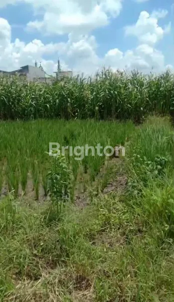 image TANAH SHM 80 M² SIAP BANGUN DI MENGANTI GRESIK (2)