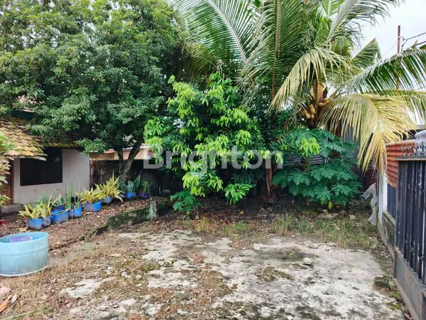 image TANAH LUAS BONUS RUMAH AREA PLAJU DEKAT KOMPERTA (3)