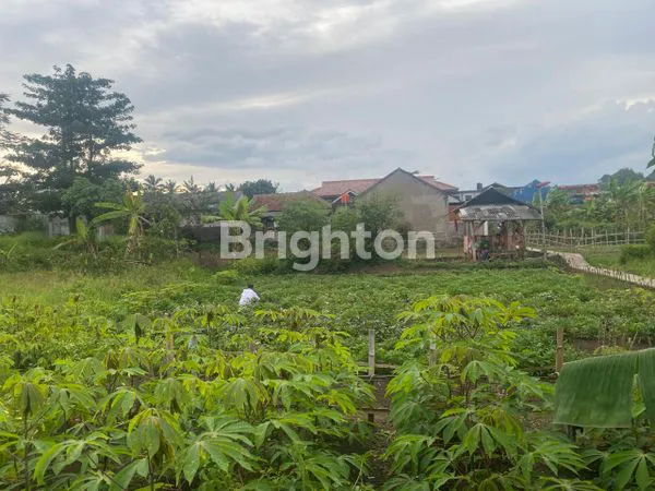 image DI JUAL. LAHAN PREMIUM PRODUKTIF , COCOK UNTUK PERKEBUNAN, YAYASAN, INVESTASI,LOKASI STRATEGIS, PINGGIR JALAN UTAMA.  (2)