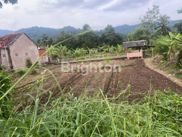 image DI JUAL. LAHAN PREMIUM PRODUKTIF , COCOK UNTUK PERKEBUNAN, YAYASAN, INVESTASI,LOKASI STRATEGIS, PINGGIR JALAN UTAMA.  (1)