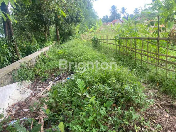 image DI JUAL. LAHAN PREMIUM PRODUKTIF , COCOK UNTUK PERKEBUNAN, YAYASAN, INVESTASI,LOKASI STRATEGIS, PINGGIR JALAN UTAMA.  (4)