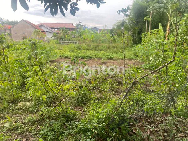 image DI JUAL. LAHAN PREMIUM PRODUKTIF , COCOK UNTUK PERKEBUNAN, YAYASAN, INVESTASI,LOKASI STRATEGIS, PINGGIR JALAN UTAMA.  (3)