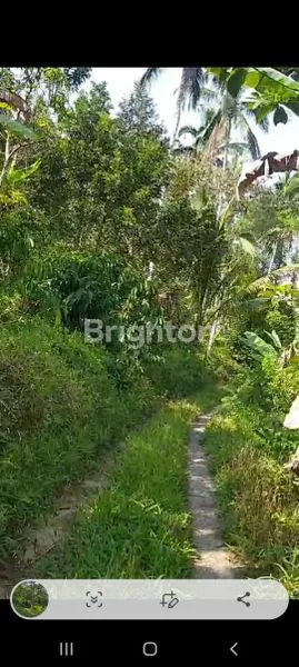 image JUAL TANAH (2)