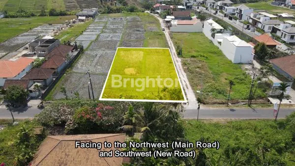 image LAND FOR SALE AT CEMAGI 10 ARE FOR INVESTMENET, ONLY 260 M FROM BEACH (6)