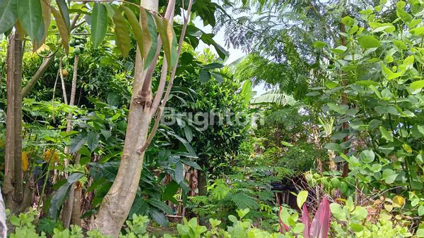 image TANAH LUAS 255M² SHM DI KARTOSURO, LOKASI STRATEGIS (3)