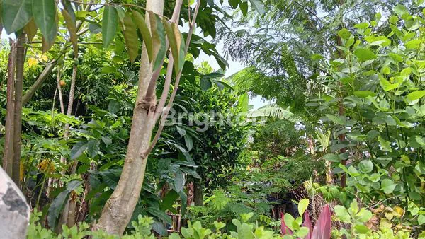 image TANAH LUAS 255M² SHM DI KARTOSURO, LOKASI STRATEGIS (2)