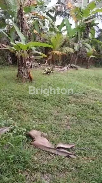 image TANAH DATAR SIAP BANGUN DI TABANAN (6)