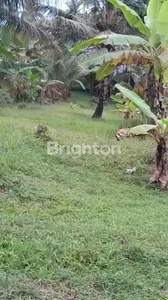 image TANAH DATAR SIAP BANGUN DI TABANAN (1)