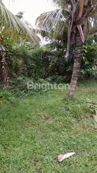 image TANAH DATAR SIAP BANGUN DI TABANAN (3)