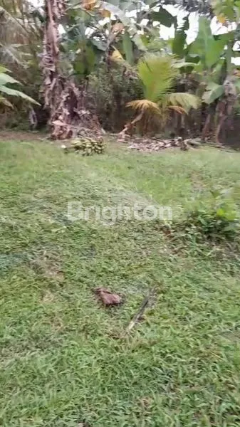 image TANAH DATAR SIAP BANGUN DI TABANAN (2)