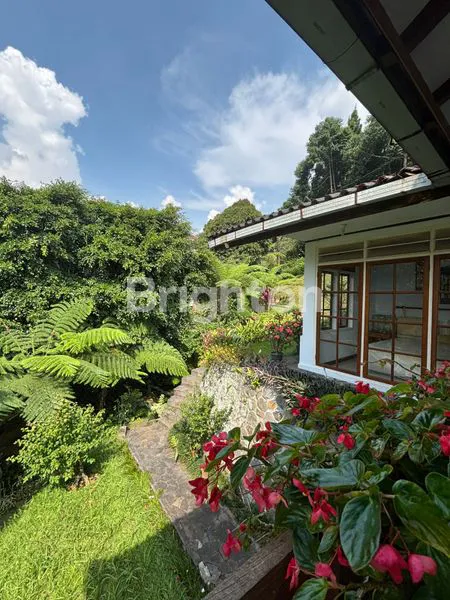 image VILLA EKSKLUSIF DI PUNCAK CISARUA – VIEW GUNUNG SALAK & SAWAH, 2 VILLA, LT 8.400 M² (2)