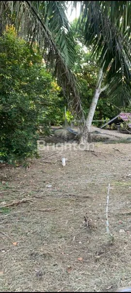 image DIJUAL TANAH SIAP BANGUN (3)