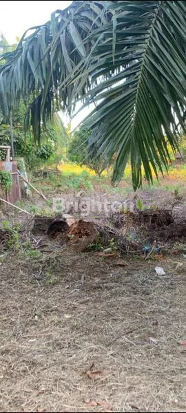 image DIJUAL TANAH SIAP BANGUN (2)