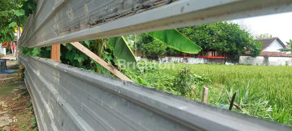 image TANAH KAVLING STRATEGIS 5000M² DI REMBANG, DEPAN JALAN RAYA & SPBU (4)