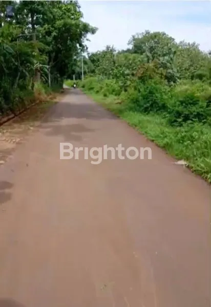 image TANAH STRATEGIS DEKAT KOTA JEPARA (1)