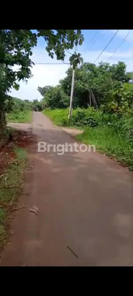 image TANAH STRATEGIS DEKAT KOTA JEPARA (2)