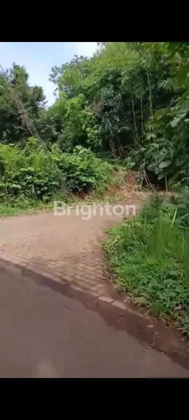 image TANAH STRATEGIS DEKAT KOTA JEPARA (3)