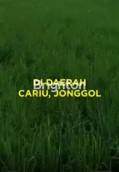 image TANAH LUAS 6,7 HEKTAR DI CARIU JONGGOL (2)