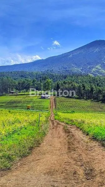 image JUAL TANAH DAERAH BATU. KOTA MALANG (1)