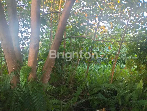 image LAHAN PREMIUM UNTUK USAHA DI JL. MT HARYONO - BALIKPAPAN (4)