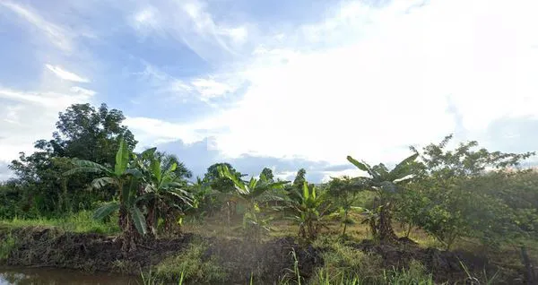 image TANAH INVESTASI STRATEGIS 1 HEKTAR DI SANGATTA, DEKAT PASAR INDUK (3)