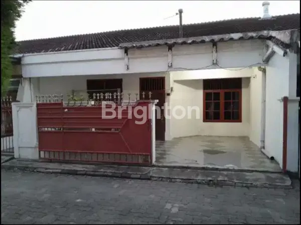 image JUAL HUNIAN RAJAWALI SEI SIKAMBING (2)