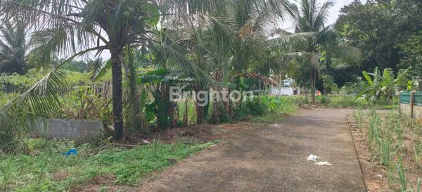 image TANAH LUAS 712M² DI SIMALINGKAR B, MEDAN (3)