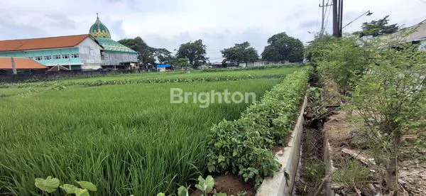 image TANAH STRATEGIS NOL JALAN DAERAH CERME GRESIK (4)