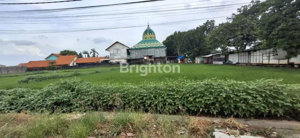 image TANAH STRATEGIS NOL JALAN DAERAH CERME GRESIK (3)