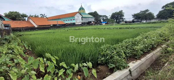 image TANAH STRATEGIS NOL JALAN DAERAH CERME GRESIK (2)