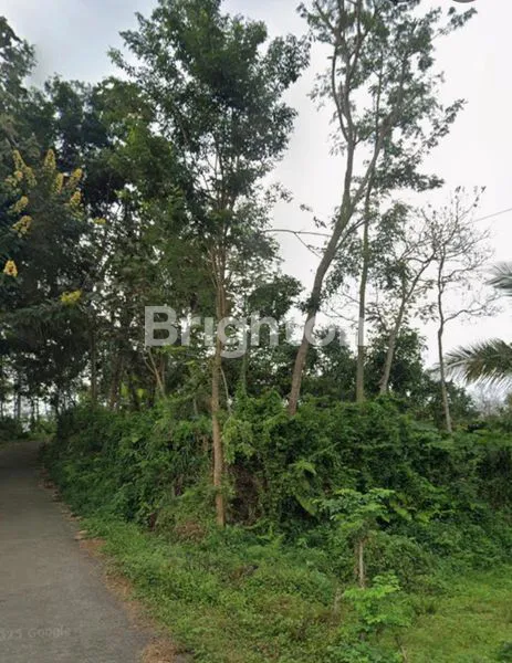 image TANAH DI PONCOKUSUMO MALANG (1)