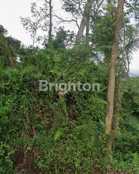 image TANAH DI PONCOKUSUMO MALANG (2)