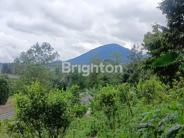 image DIJUAL TANAH BEDUGUL (1)