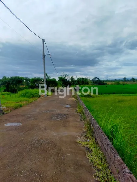 image TANAH STRATEGIS TABANAN, VIEW SAWAH & BEBAS BANJIR (3)