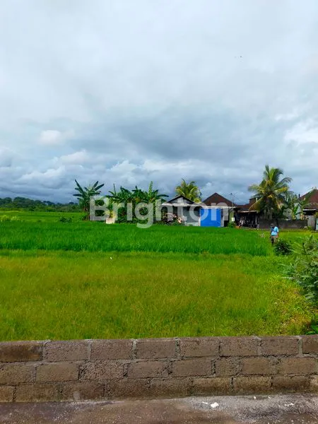 image TANAH STRATEGIS TABANAN, VIEW SAWAH & BEBAS BANJIR (4)