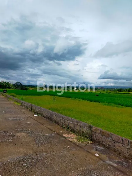 image TANAH STRATEGIS TABANAN, VIEW SAWAH & BEBAS BANJIR (5)