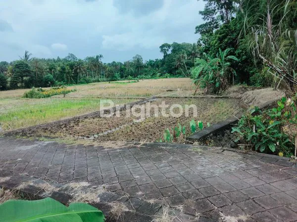 image DISEWAKAN LAHAN BASAH,, LOKASI SANGAT STRATEGIS  (3)