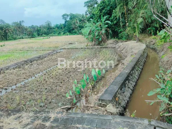 image DISEWAKAN LAHAN BASAH,, LOKASI SANGAT STRATEGIS  (5)