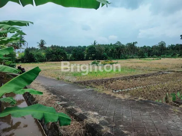 image DISEWAKAN LAHAN BASAH,, LOKASI SANGAT STRATEGIS  (4)