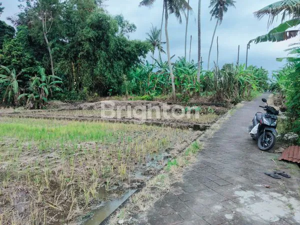 image DISEWAKAN LAHAN BASAH,, LOKASI SANGAT STRATEGIS  (6)