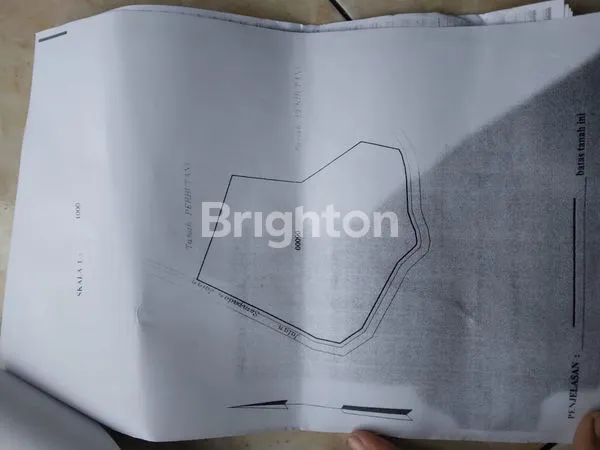 image TANAH SELUAS 7.455 M² DI KALIDAWIR TULUNGAGUNG (4)