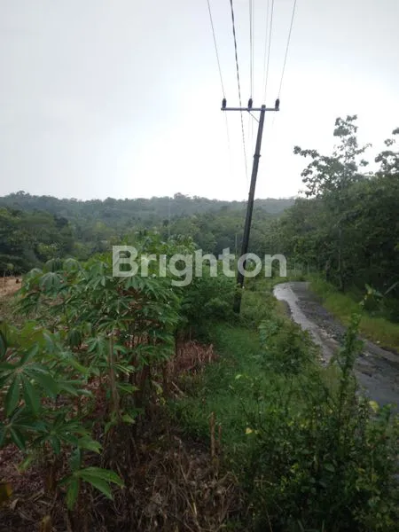 image TANAH SELUAS 7.455 M² DI KALIDAWIR TULUNGAGUNG (3)