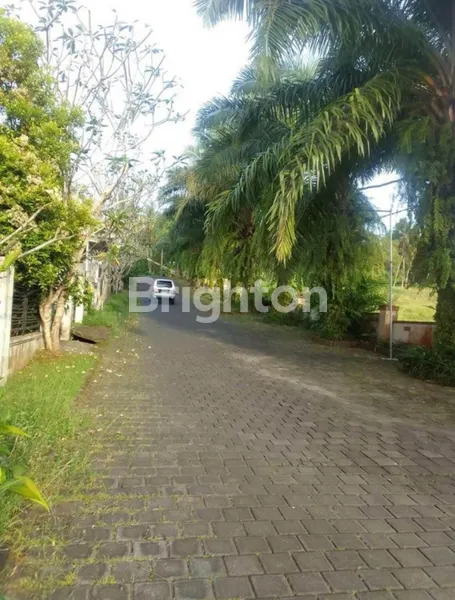 image RUMAH MINIMALIS MODERN DI KERAMBITAN TABANAN – HUNIAN ASRI SERASA VILLA! (6)